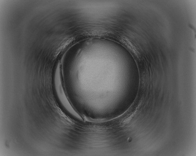 X0000091230585200709061521