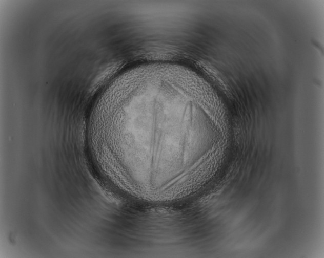 X0000091230586200709061521