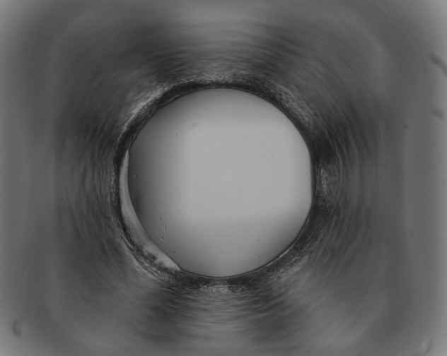 X0000091230588200709061521