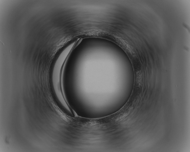 X0000091230589200709061521