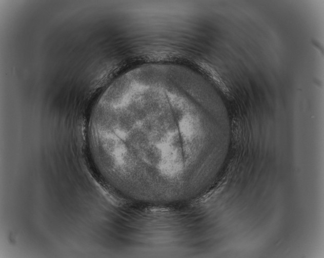 X0000091230590200709061521