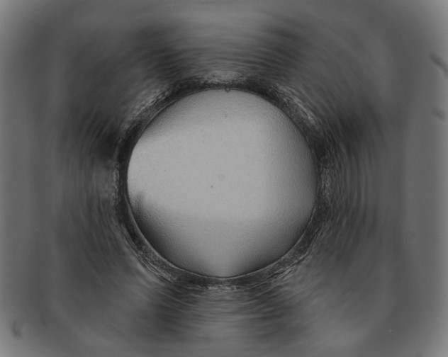 X0000091230591200709061521