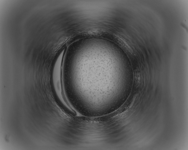 X0000091230593200709061521
