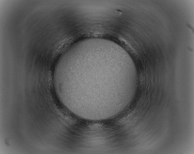 X0000091230594200709061521