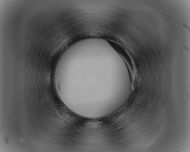 X0000091230595200709061521