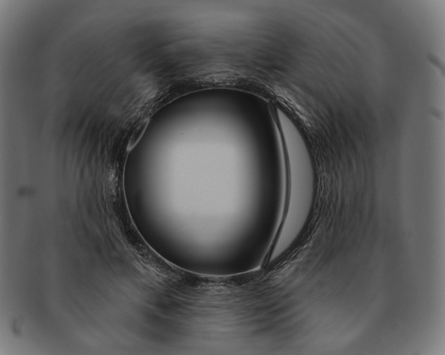 X0000091230597200709061521