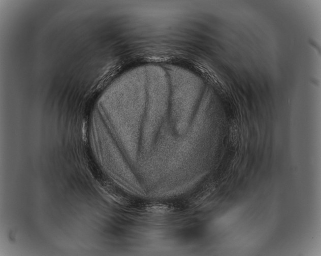 X0000091230598200709061521