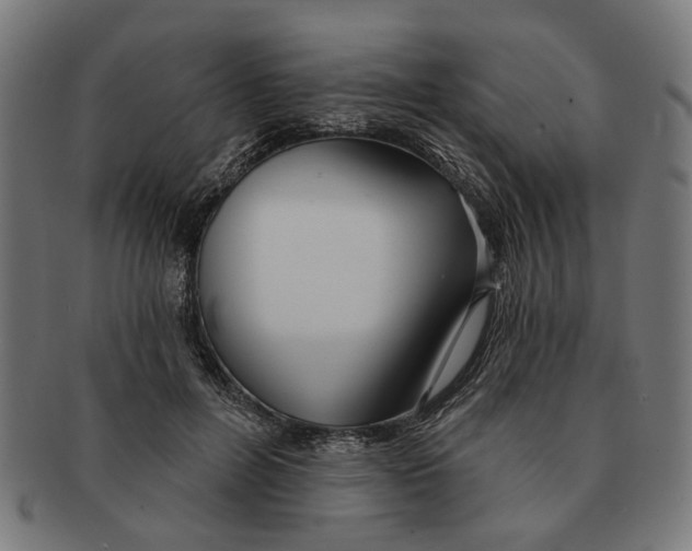X0000091230600200709061521