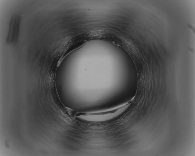 X0000091230601200709061521