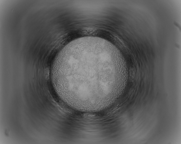 X0000091230602200709061521