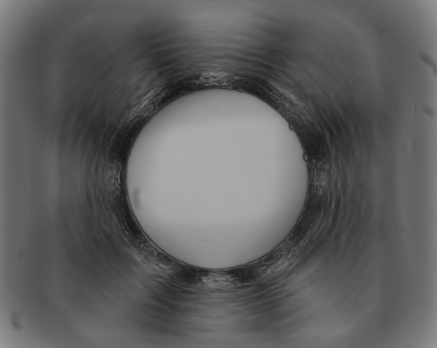 X0000091230603200709061521