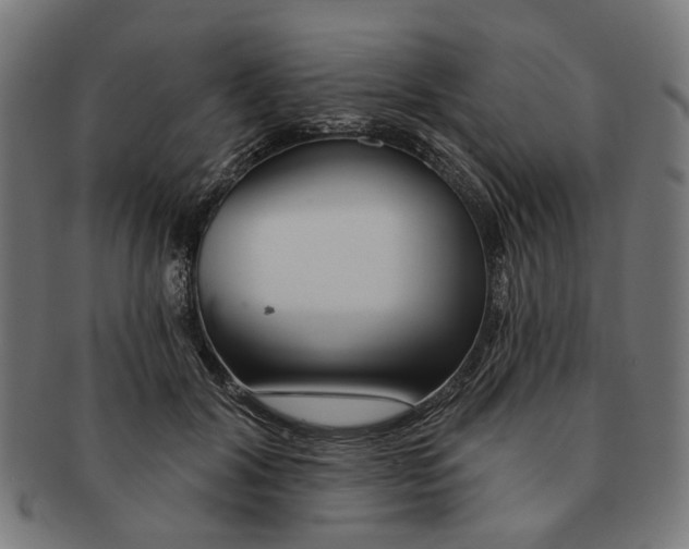 X0000091230604200709061521