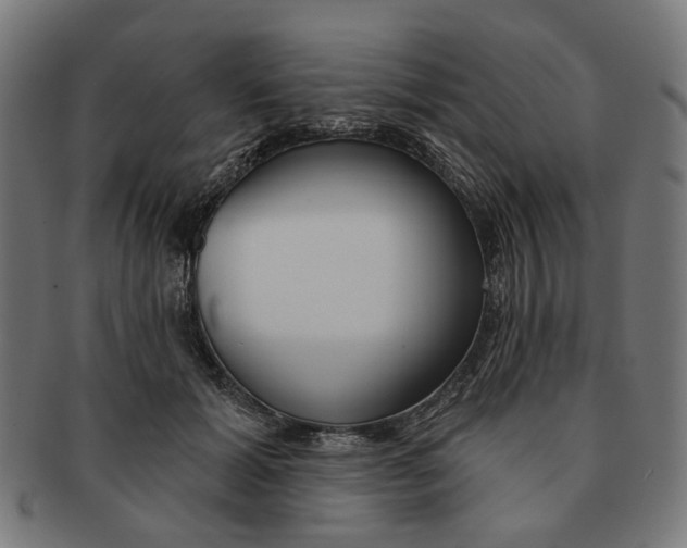 X0000091230605200709061521