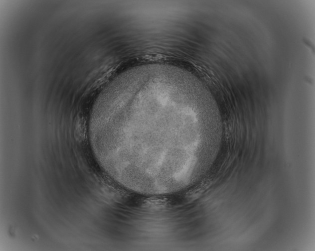 X0000091230606200709061521
