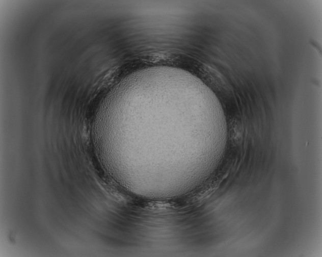 X0000091230607200709061521