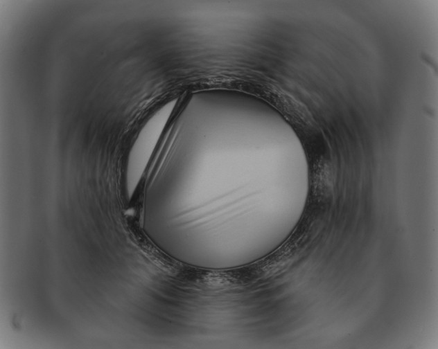 X0000091230608200709061521