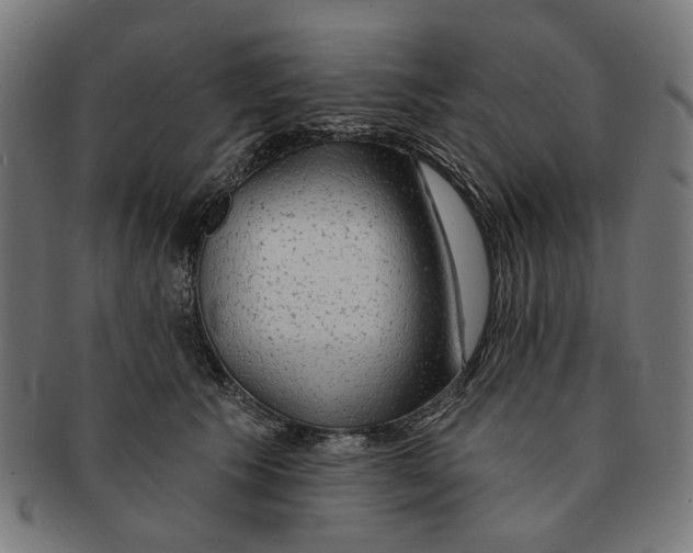 X0000091230609200709061521