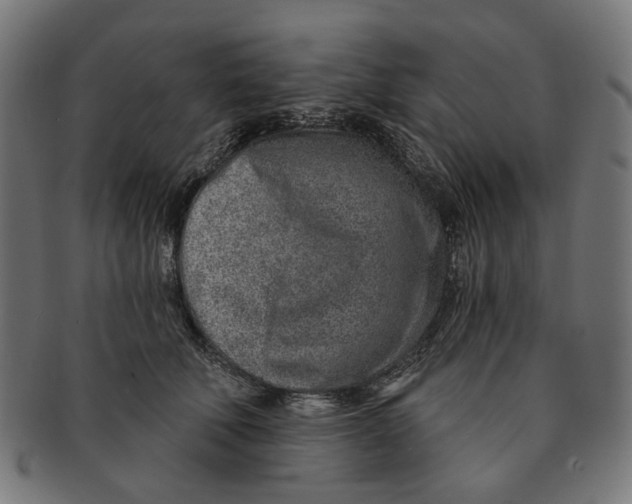 X0000091230610200709061521
