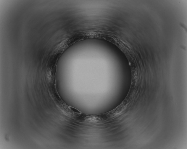 X0000091230611200709061521