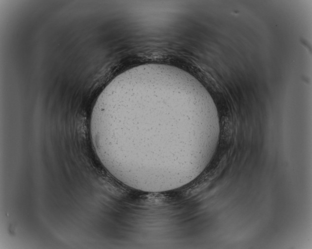 X0000091230612200709061521
