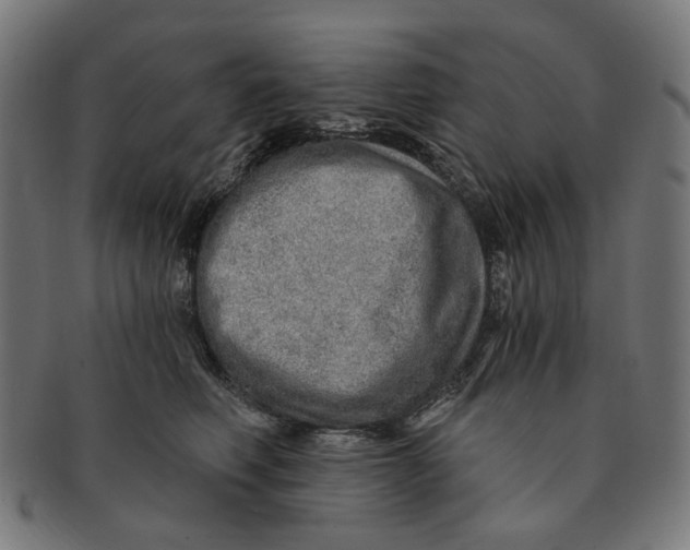 X0000091230614200709061521