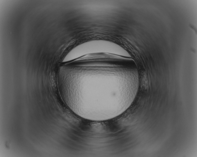 X0000091230616200709061521