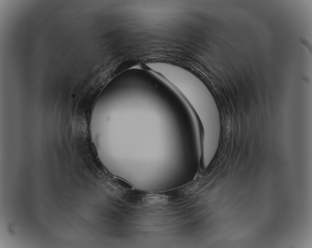 X0000091230617200709061521