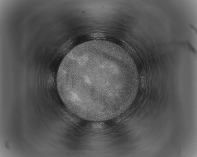 X0000091230618200709061521