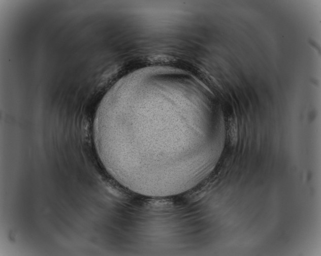 X0000091230619200709061521