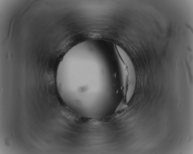 X0000091230620200709061521