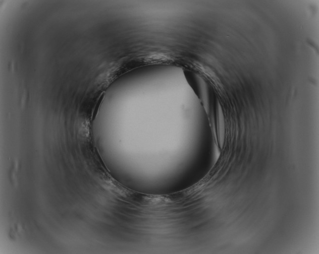 X0000091230621200709061521