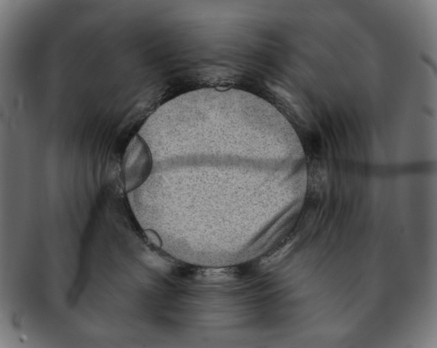 X0000091230622200709061520