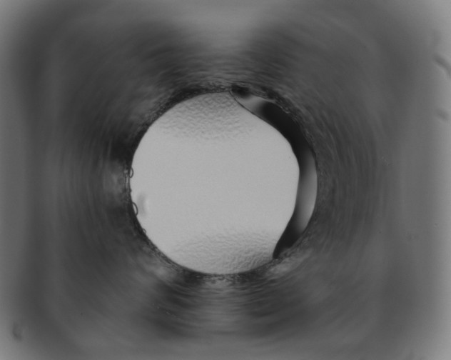 X0000091230624200709061520