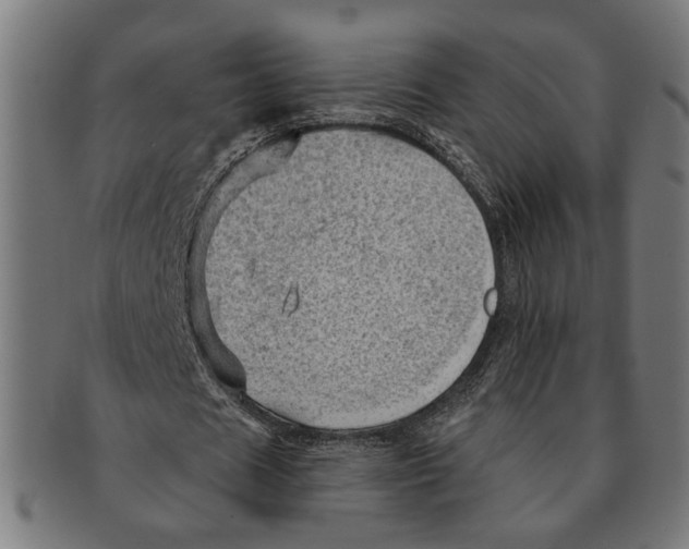 X0000091230625200709061520