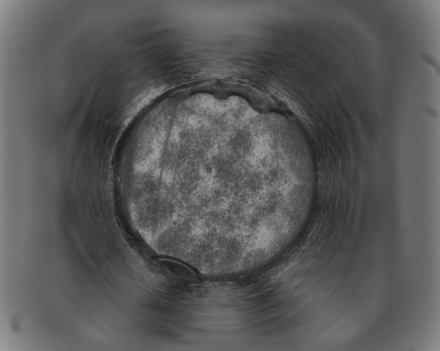 X0000091230626200709061520