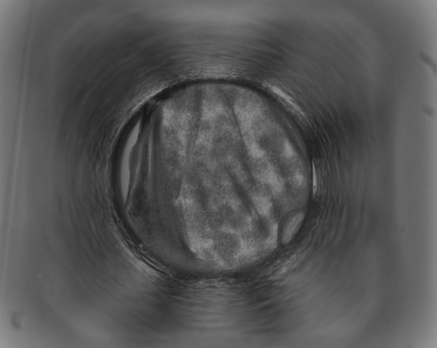 X0000091230627200709061520