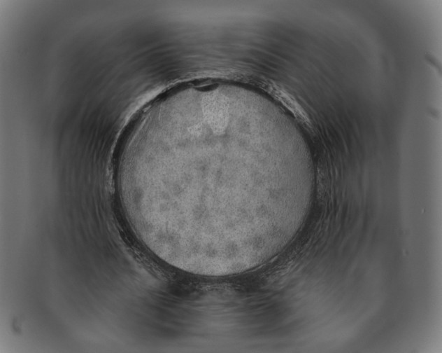 X0000091230628200709061520