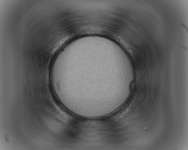 X0000091230629200709061520