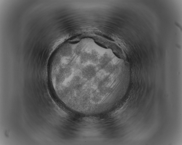 X0000091230630200709061520
