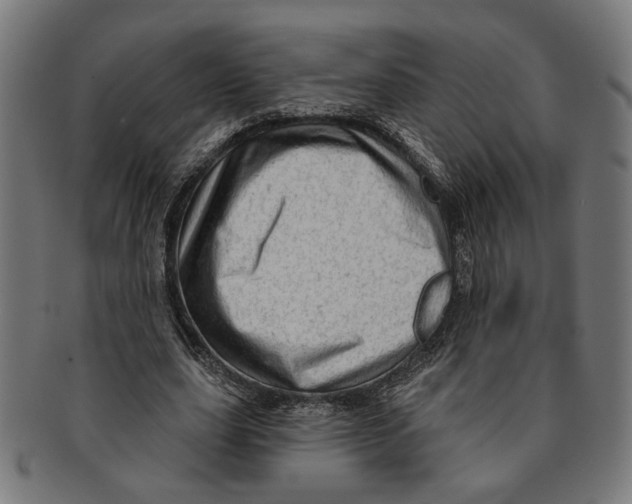 X0000091230631200709061520