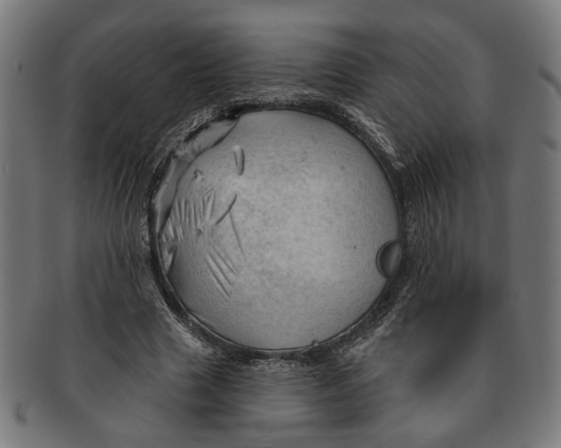 X0000091230633200709061520
