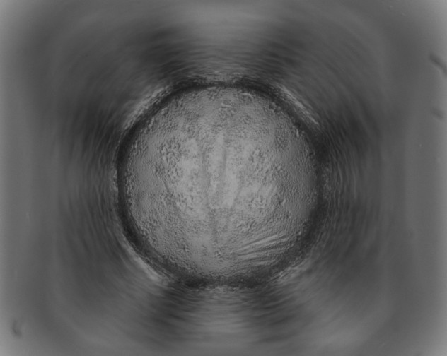 X0000091230634200709061520