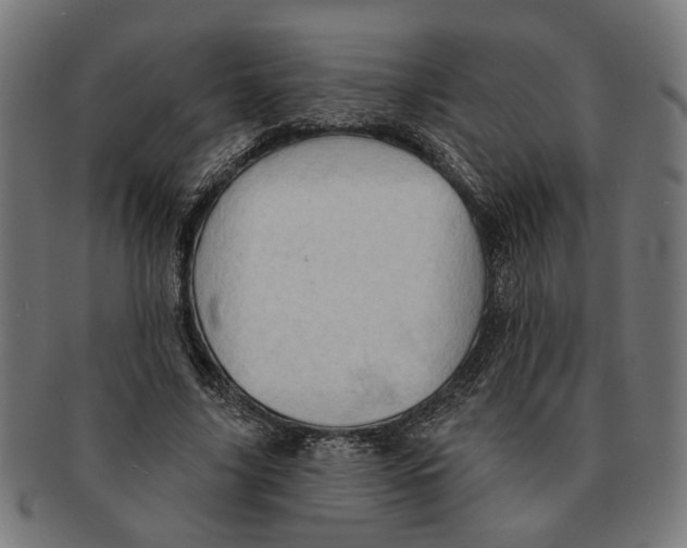 X0000091230635200709061520