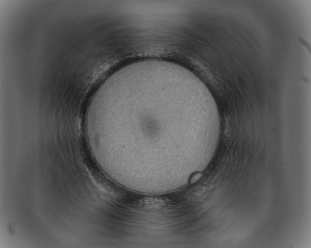 X0000091230636200709061520