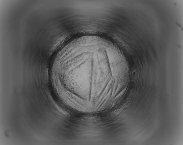 X0000091230638200709061520