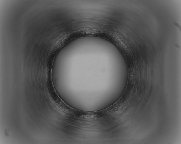 X0000091230639200709061520