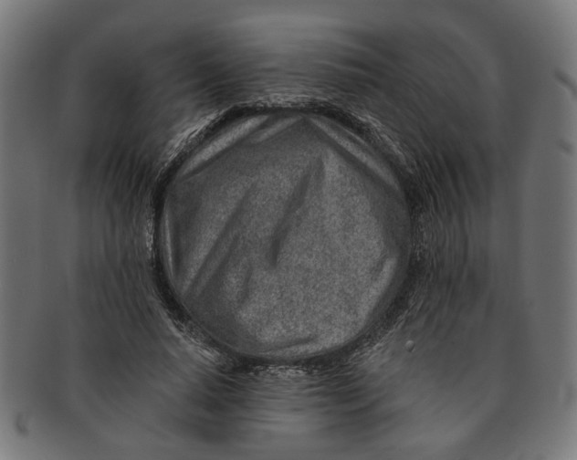 X0000091230640200709061520