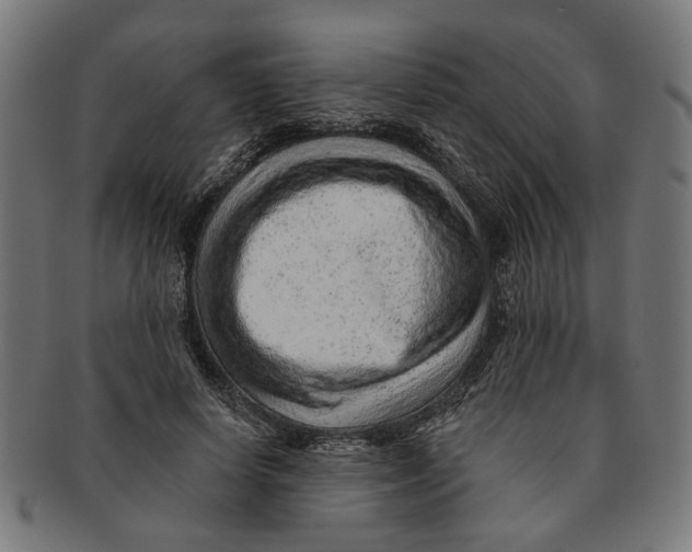 X0000091230642200709061520