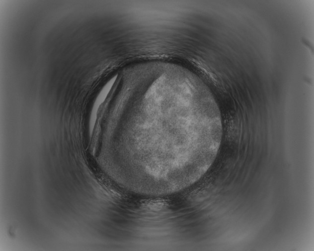 X0000091230643200709061520