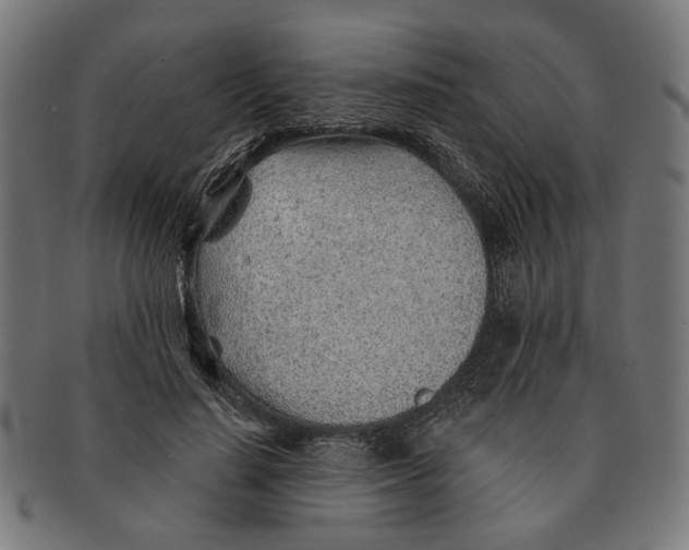 X0000091230644200709061520